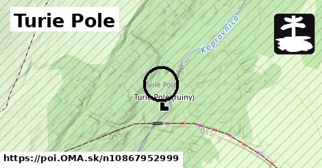 Turie Pole