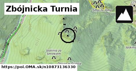 Zbójnicka Turnia