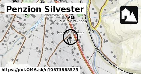 Penzion Silvester