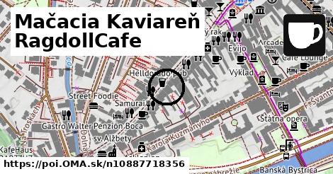 Mačacia Kaviareň RagdollCafe