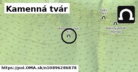 Kamenná tvár