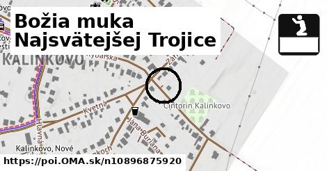 Božia muka Najsvätejšej Trojice