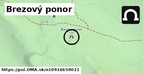 Brezový ponor