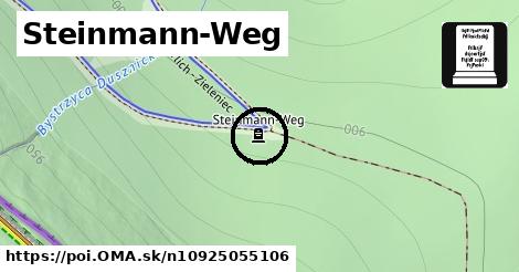 Steinmann-Weg