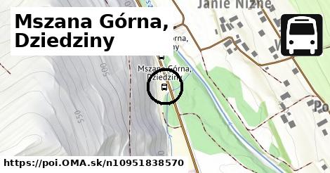 Mszana Górna, Dziedziny