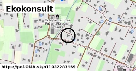 Ekokonsult