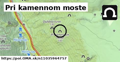 Pri kamennom moste