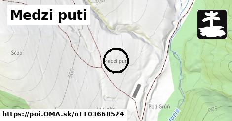 Medzi puti