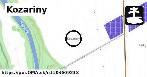 Kozariny