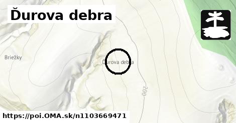 Ďurova debra