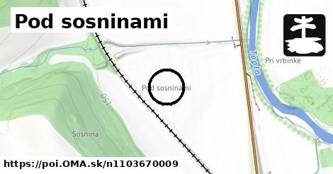 Pod sosninami