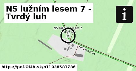 NS lužním lesem 7 - Tvrdý luh