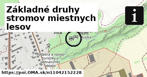 Základné druhy stromov miestnych lesov