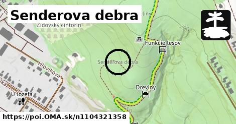 Senderova debra