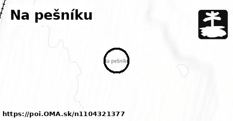 Na pešníku