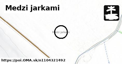 Medzi jarkami