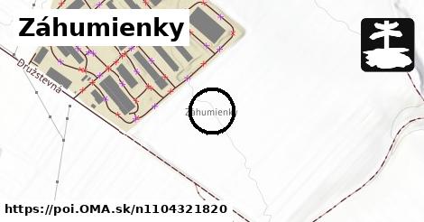 Záhumienky