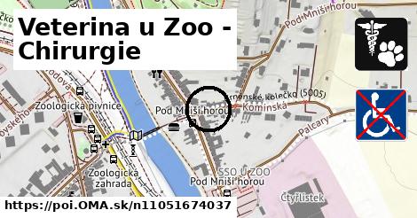 Veterina u Zoo - Chirurgie