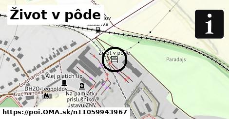 Život v pôde