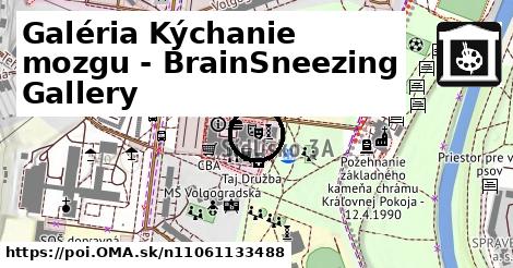 Galéria Kýchanie mozgu - BrainSneezing Gallery