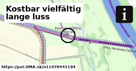 Kostbar vielfältig lange luss