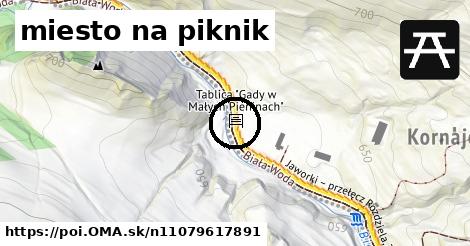 miesto na piknik