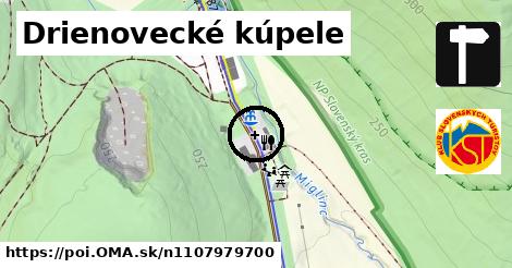 Drienovecké kúpele