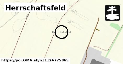Herrschaftsfeld