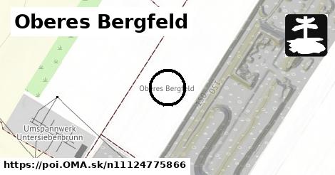 Oberes Bergfeld