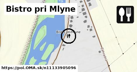 Bistro pri Mlyne