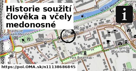 Historie soužití člověka a včely medonosné