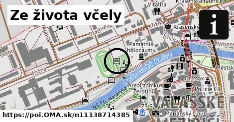 Ze života včely