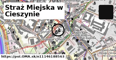 Straż Miejska w Cieszynie