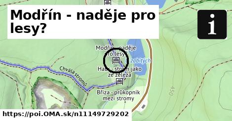 Modřín - naděje pro lesy?