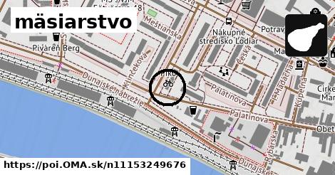 mäsiarstvo