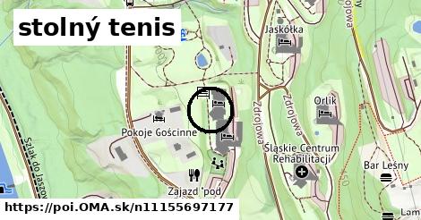 stolný tenis