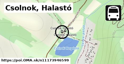 Csolnok, Halastó