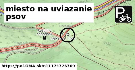 miesto na uviazanie psov