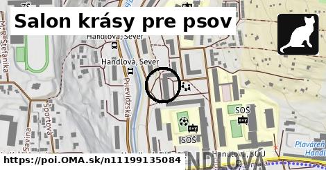 Salon krásy pre psov