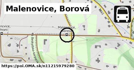 Malenovice, Borová