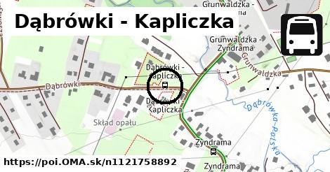 Dąbrówki - Kapliczka