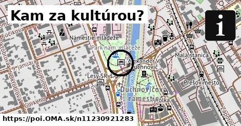 Kam za kultúrou?