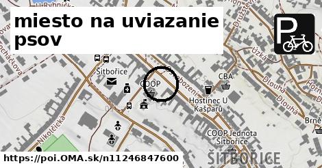 miesto na uviazanie psov