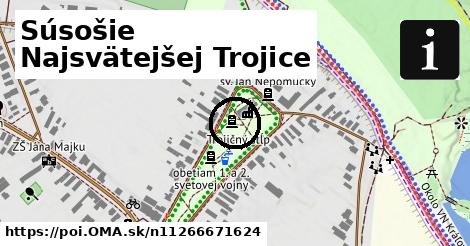 Súsošie Najsvätejšej Trojice