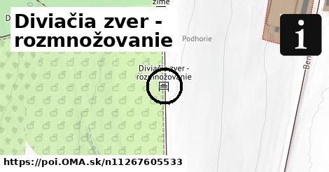 Diviačia zver - rozmnožovanie