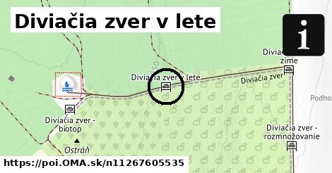 Diviačia zver v lete