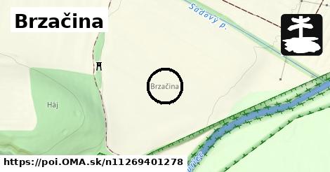 Brzačina