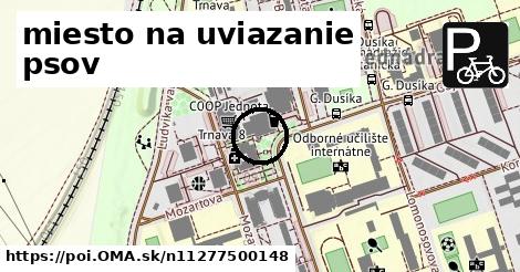 miesto na uviazanie psov