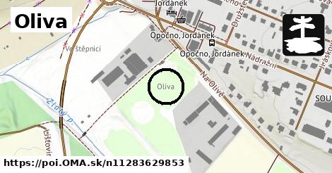 Oliva