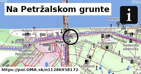 Na Petržalskom grunte